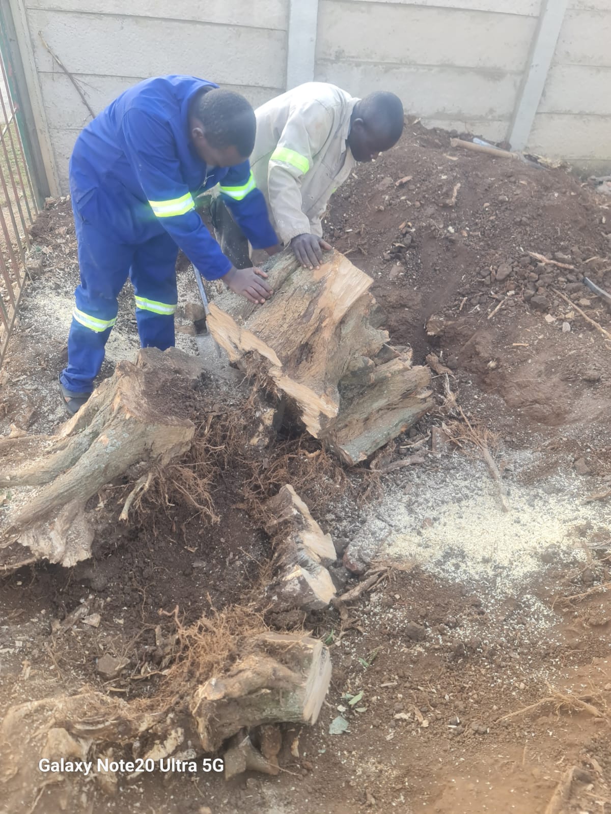 Stump and root removal team in Pietermaritzburg