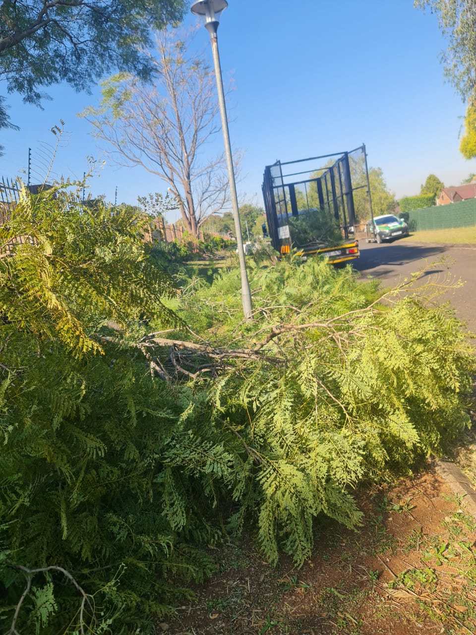 Roadside branch clearing with removal truck