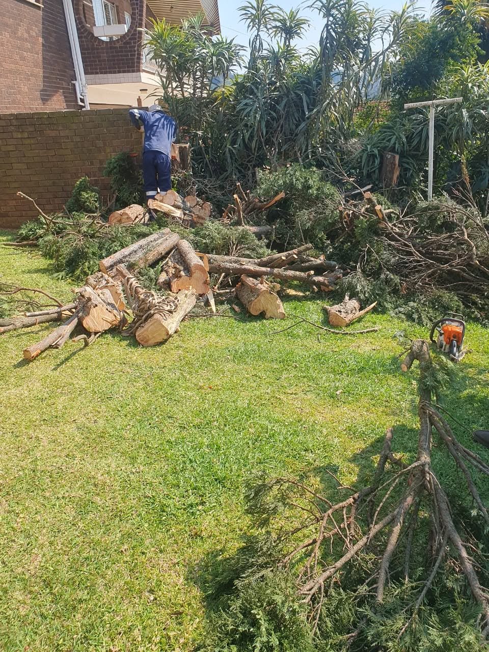 Tree removal and log cutting at residential property